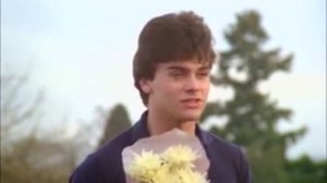 Не отступать и не сдаваться! (Брюс Ли)