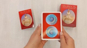 Мудрость оракула. Карты для предсказаний (52 карты и руководство в подарочном оформлении)