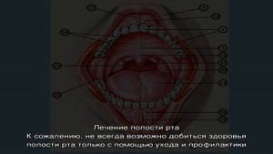 Гигиена полости рта. Уход за зубами и гигиена. Гигиеническая чистка зубов