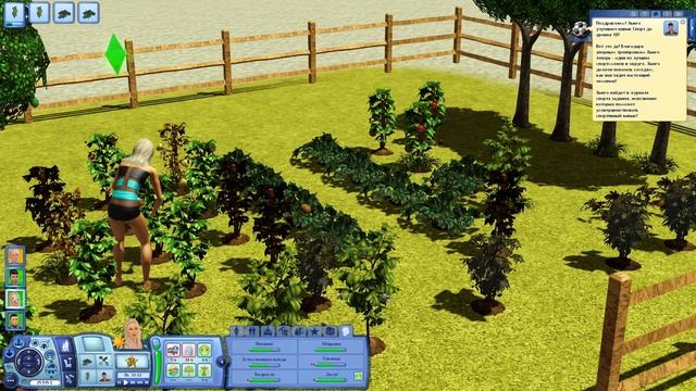 The Sims 3 Цивилизация || Второе поколение || #19 Зигзаг и компания смотреть онлайн