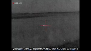 Охота на лису и шакала 04 с тепловизором Пульсар Pulsar Trail 2  XP50 и карабин Blaser R8 308w