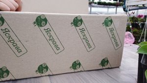 Хосты. Распаковка посылки.