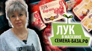 ЛУК ? Обзор сортов лука и удобрения для лука в магазине семена-база.рф