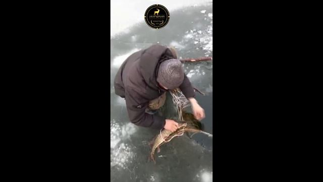 Подледка рыбалка на Чира