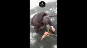 Подледка рыбалка на Чира