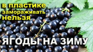 Как правильно заготовить ягоды на зиму.