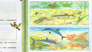 Окружающий мир. Рабочая тетрадь 3 класс 1 часть. ГДЗ стр. 30 №3