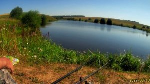 карась на поплавок Рыбалка в реале