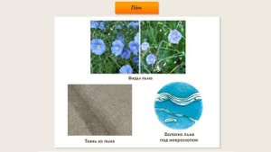 Класификация текстильных волокон и нитей