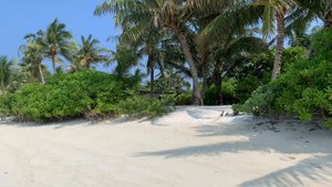 Пляж острова ТОДДУ в НОЯБРЕ 2020 (Мальдивы)