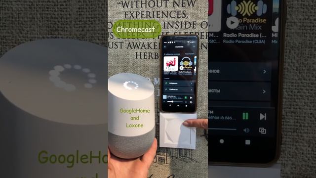 Беспроводные аудио зоны в мультирум Loxone. Googlehome and loxone. Chromecast