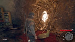 Зараженная зона в Мэрион Форкс (Гнезда в Мэрион Форкс)