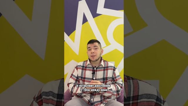 Лук чернушка под зиму смотреть онлайн