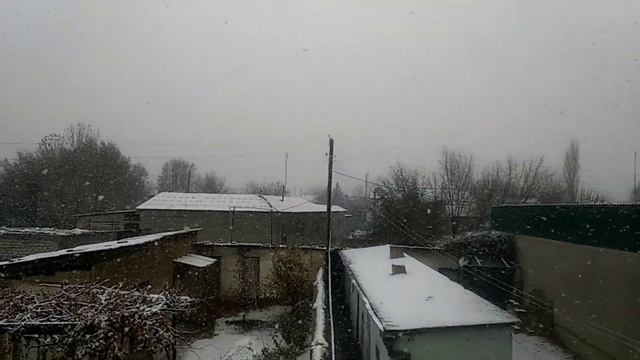 ?️ Первый снег ? Пгт Пролетарск ⭐ Дж Расулов ?