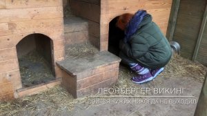 В гостях у «Лесного дома»Севостьянова Наталья.Кинолог .Спикер.