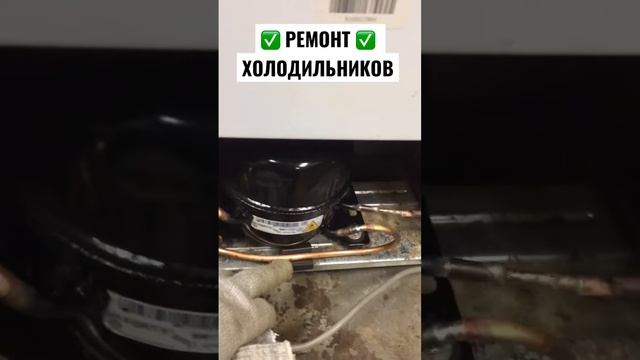 РЕМОНТ ХОЛОДИЛЬНИКОВ ПОД КЛЮЧ смотреть онлайн