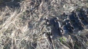 Добиваем стоянку техники в Кировской Области 600кг