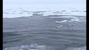 "Полярное кольцо" Юрий Визбор, исполняет  П. Старцев