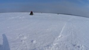 Трудовая рыбалка на окуня в низовье обского водохранилища. Рыбалка на мормышку.