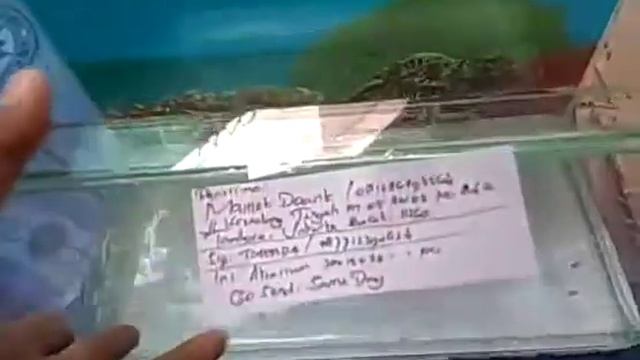 Aquarium 30 x 15 x 20 смотреть онлайн