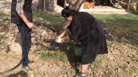 Picking Wild Blackberries and Making Blackberry Jam and Juice!