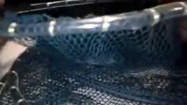 Садок для рыбалки и его модернизация