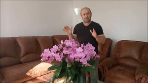 Как ухаживать за орхидеей