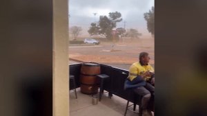 Le Zap de Cokaïn.fr n°311