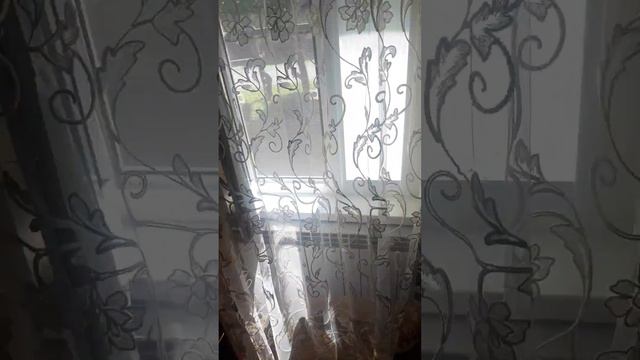 Может быть завтра или послезавтра, сначала нам нужно позвонить хозяину.😁😁😁😁 смотреть онлайн