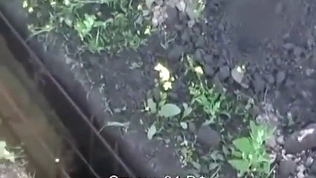 Как залить фундамент под дом (видео №1) смотреть онлайн