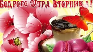 доброе утро вторника