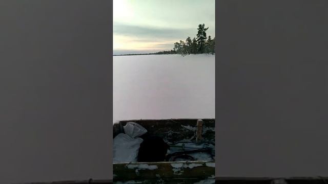 Пробовал ловить на приманку Fish Hunt не работает ❌ смотреть онлайн