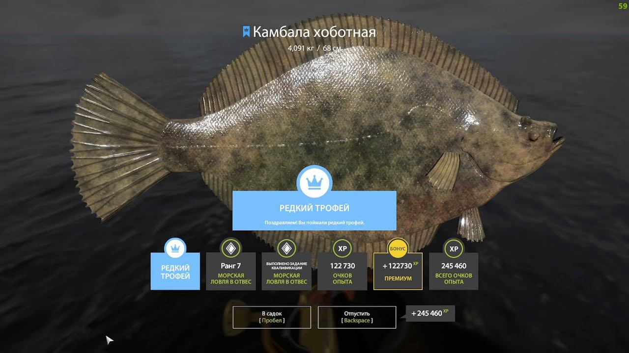 Русская рыбалка 4 Камбала хоботная редкий трофей на обезьянку смотреть онлайн