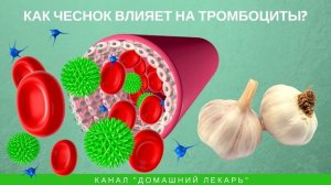 Чеснок разжижает кровь и избавляет от тромбов - Домашний лекарь - выпуск №250