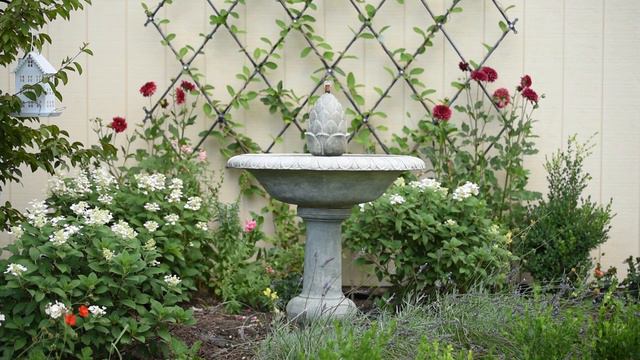 Adding more PERENNIALS to my garden   Millennium Garlic Coneflowers  Heleniums