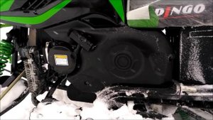 Снегоходы Динго 150 и IC DEER 200 обзор