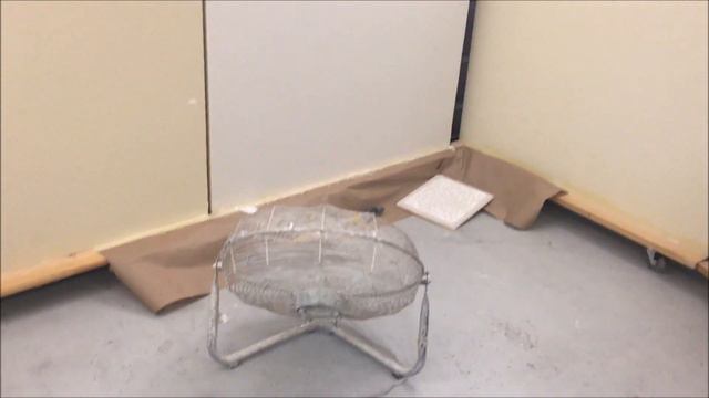 Skim Coat Applied to Walls- Now What?? смотреть онлайн