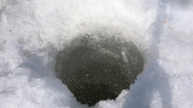Рыбалка на оз. Большом Тельмана. ОГРОМНЫЙ РОТАН РАЗОГНАЛ мелочь!!! подводная съемка.