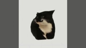 maxwell the cat spinning to funkytown (roblox edition) (read desc)