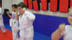 Каратэ киокусинкай