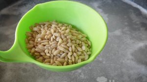 Щи с перловкой