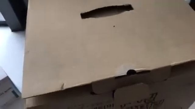 Лапша быстрого приготовления смотреть онлайн