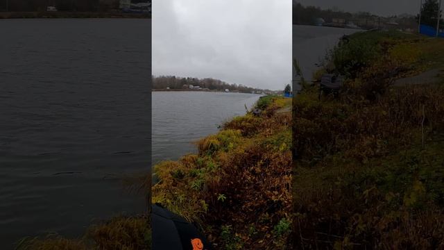 ЗОНТ для РЫБАЛКИ - лучшая снасть осенью