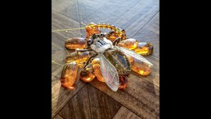 Медовая пчела. Процесс