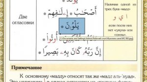 Таджвид - Виды удлинения в Коране (Муаллим Сани) Основной мадд - Сеймур Джамал
