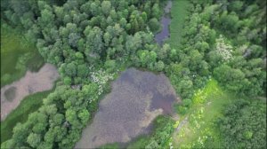 На Филькином болоте