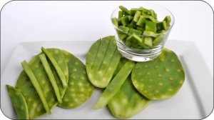 ИНТЕРЕСНЫЕ ФАКТЫ О КАКТУСАХ