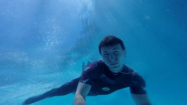 Дельфинарий Немо смотреть онлайн