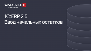 1C:ERP 2.5 - ввод начальных остатков