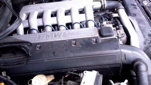 BMW E39 M51 TDS evrymod Testing